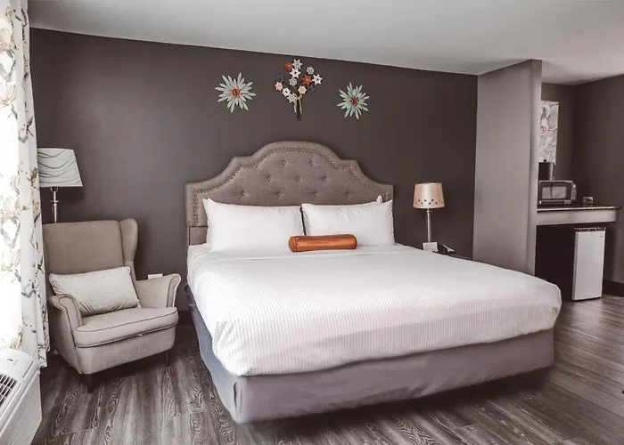Hotel The On Sheridan 3*